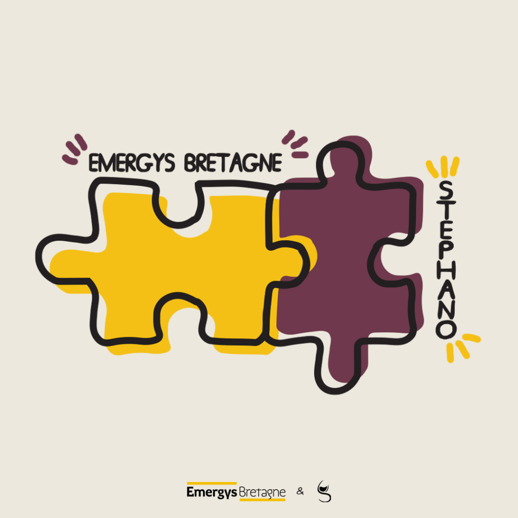 puzzle emergys bretagne X stephano